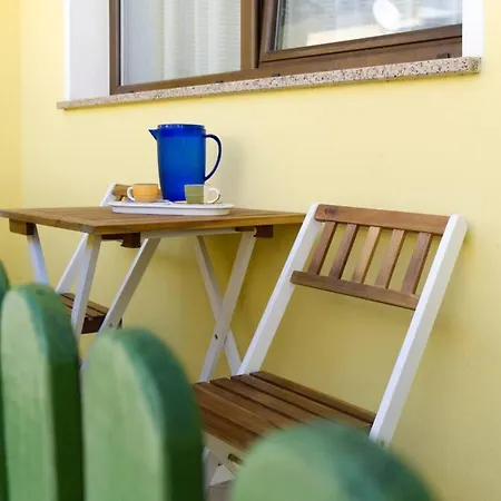 Colorful With Garden