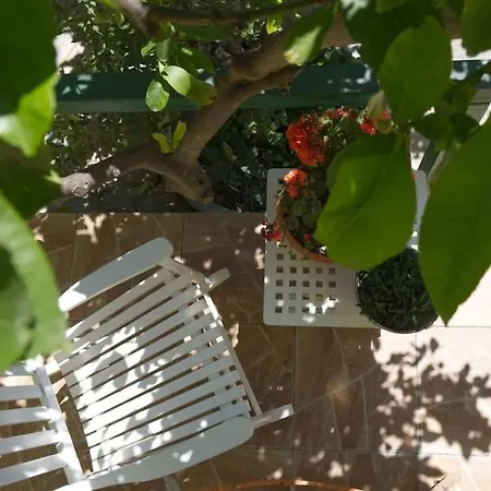 Apartment Colorful With Garden *