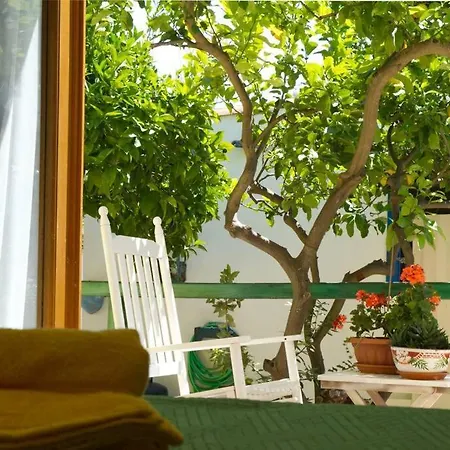 Colorful With Garden *